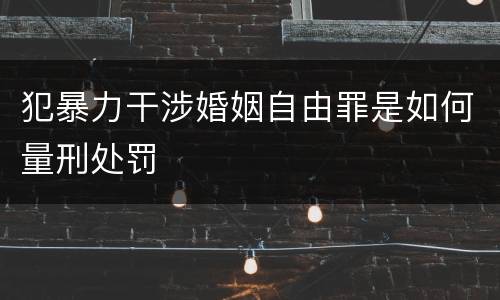 犯暴力干涉婚姻自由罪是如何量刑处罚