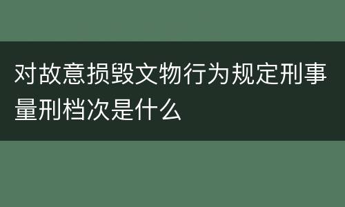 对故意损毁文物行为规定刑事量刑档次是什么