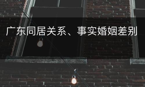 广东同居关系、事实婚姻差别
