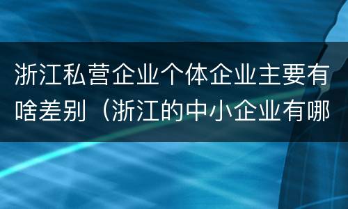 浙江私营企业个体企业主要有啥差别（浙江的中小企业有哪些）