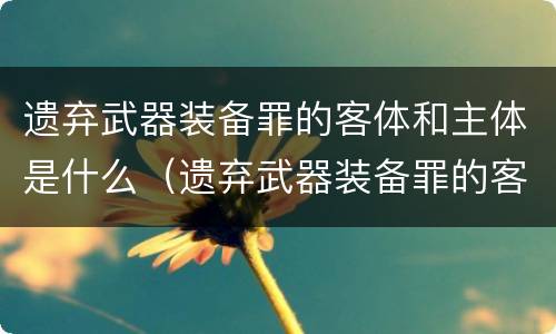 遗弃武器装备罪的客体和主体是什么（遗弃武器装备罪的客观方面表现为）