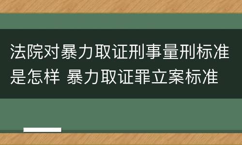 法院对暴力取证刑事量刑标准是怎样 暴力取证罪立案标准