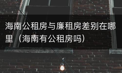 海南公租房与廉租房差别在哪里（海南有公租房吗）
