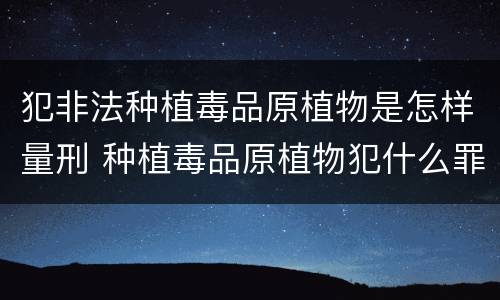 犯非法种植毒品原植物是怎样量刑 种植毒品原植物犯什么罪