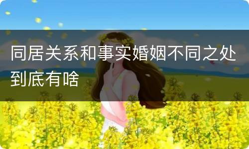 同居关系和事实婚姻不同之处到底有啥