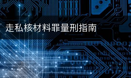 走私核材料罪量刑指南