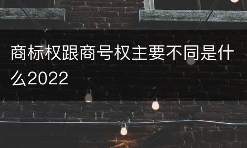 商标权跟商号权主要不同是什么2022