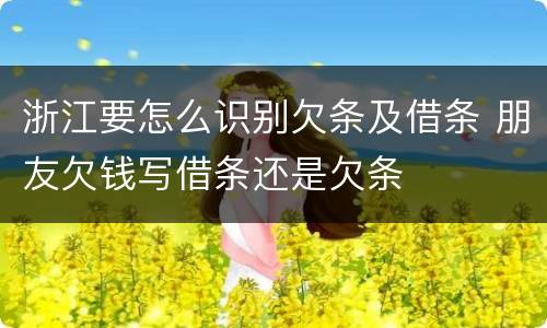 浙江要怎么识别欠条及借条 朋友欠钱写借条还是欠条