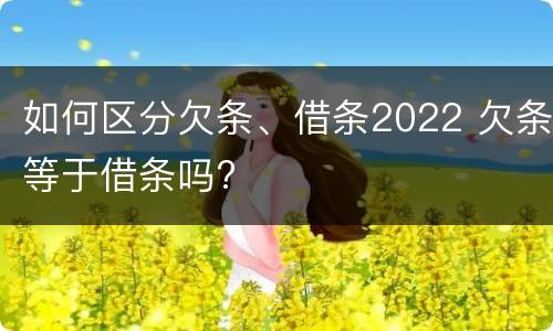 如何区分欠条、借条2022 欠条等于借条吗?