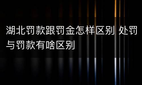 湖北罚款跟罚金怎样区别 处罚与罚款有啥区别