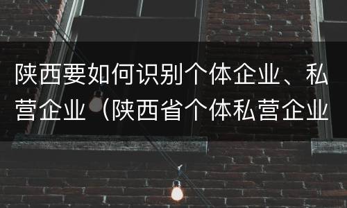 陕西要如何识别个体企业、私营企业（陕西省个体私营企业协会）