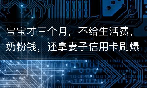 宝宝才三个月，不给生活费，奶粉钱，还拿妻子信用卡刷爆了，没有偿还
