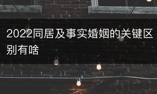 2022同居及事实婚姻的关键区别有啥