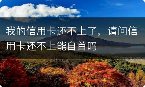 我的信用卡还不上了，请问信用卡还不上能自首吗