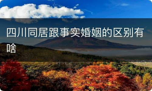 四川同居跟事实婚姻的区别有啥