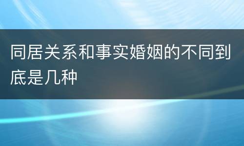 同居关系和事实婚姻的不同到底是几种