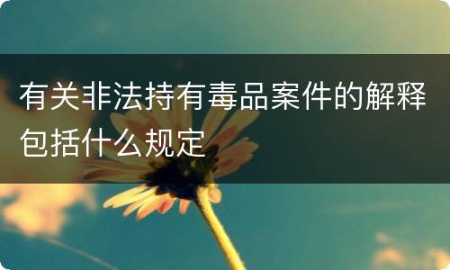 有关非法持有毒品案件的解释包括什么规定