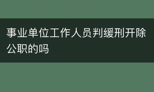 事业单位工作人员判缓刑开除公职的吗