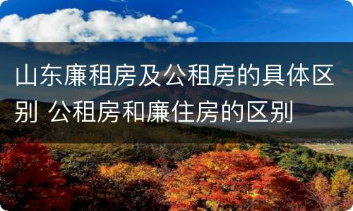 山东廉租房及公租房的具体区别 公租房和廉住房的区别