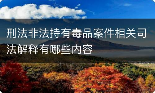 刑法非法持有毒品案件相关司法解释有哪些内容