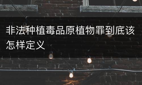 非法种植毒品原植物罪到底该怎样定义