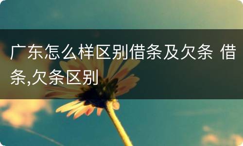 广东怎么样区别借条及欠条 借条,欠条区别