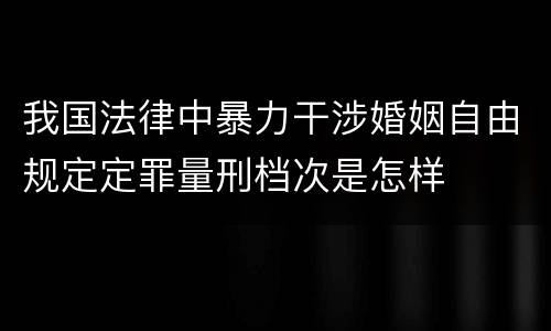 我国法律中暴力干涉婚姻自由规定定罪量刑档次是怎样