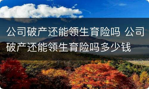 公司破产还能领生育险吗 公司破产还能领生育险吗多少钱