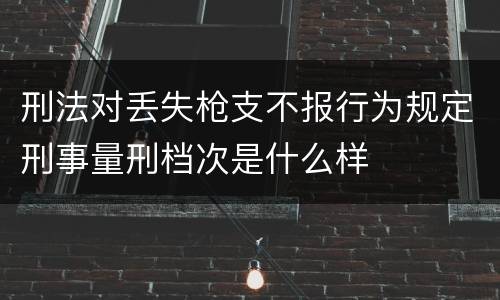 刑法对丢失枪支不报行为规定刑事量刑档次是什么样