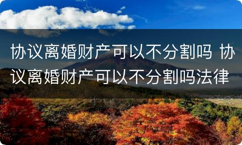 协议离婚财产可以不分割吗 协议离婚财产可以不分割吗法律规定
