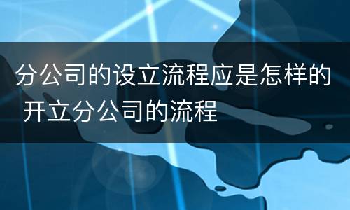 分公司的设立流程应是怎样的 开立分公司的流程
