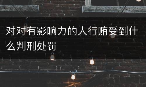 对对有影响力的人行贿受到什么判刑处罚