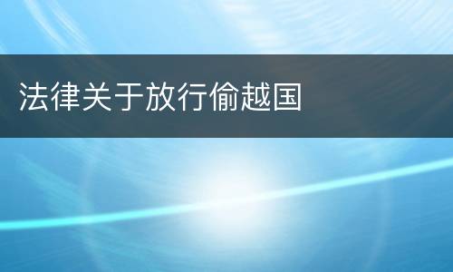 法律关于放行偷越国