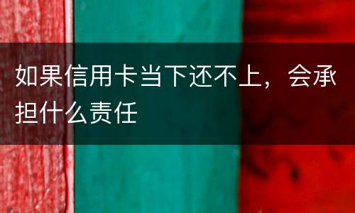 如果信用卡当下还不上，会承担什么责任