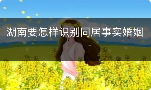 湖南要怎样识别同居事实婚姻