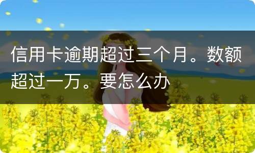 信用卡逾期超过三个月。数额超过一万。要怎么办