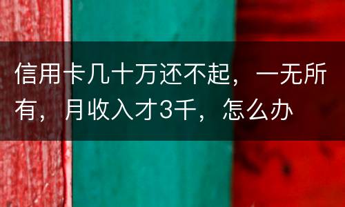信用卡几十万还不起，一无所有，月收入才3千，怎么办