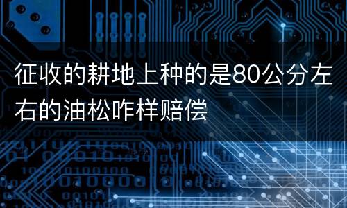 征收的耕地上种的是80公分左右的油松咋样赔偿