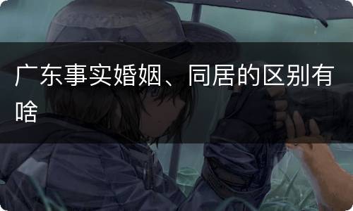 广东事实婚姻、同居的区别有啥