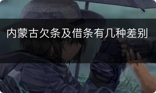 内蒙古欠条及借条有几种差别