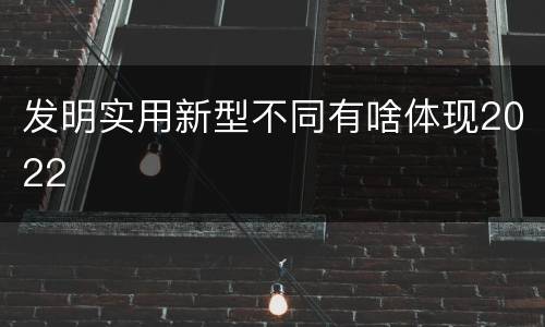 发明实用新型不同有啥体现2022