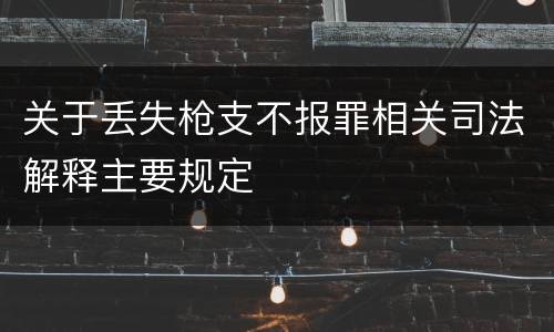关于丢失枪支不报罪相关司法解释主要规定