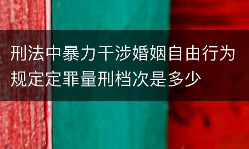 刑法中暴力干涉婚姻自由行为规定定罪量刑档次是多少