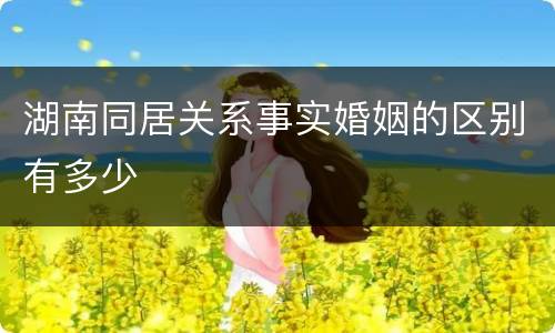 湖南同居关系事实婚姻的区别有多少