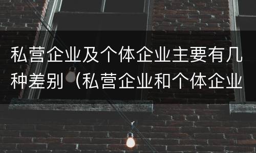 私营企业及个体企业主要有几种差别（私营企业和个体企业）