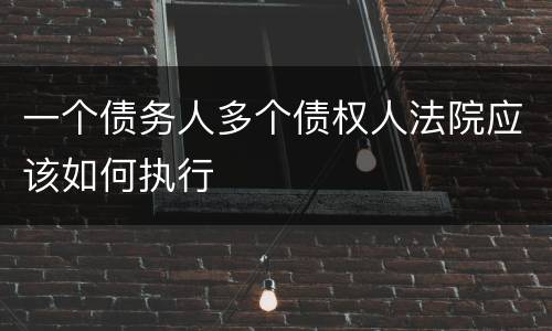 一个债务人多个债权人法院应该如何执行
