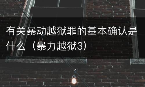 有关暴动越狱罪的基本确认是什么（暴力越狱3）