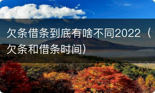 欠条借条到底有啥不同2022（欠条和借条时间）