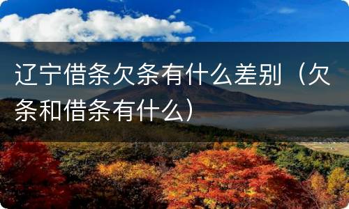辽宁借条欠条有什么差别（欠条和借条有什么）