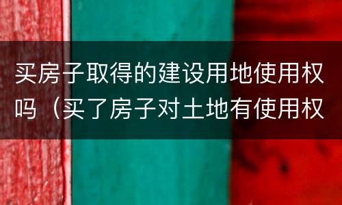 买房子取得的建设用地使用权吗（买了房子对土地有使用权）